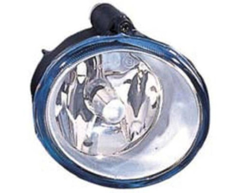 Fog lamp 4463089 Diederichs