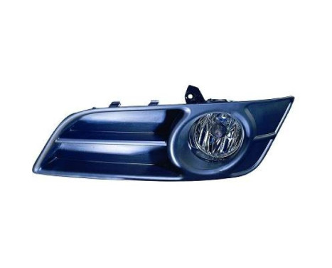 Fog lamp 6618389 Diederichs