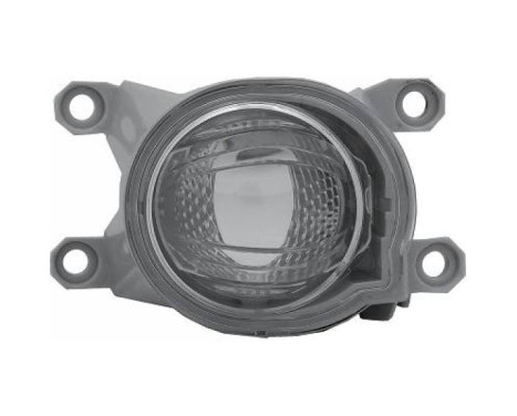 Fog lamp 6661089 Diederichs