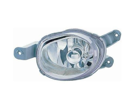 Fog lamp 6926088 Diederichs