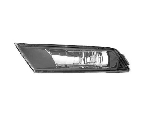 Fog lamp 7842089 Diederichs