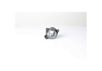 Fog lamp
