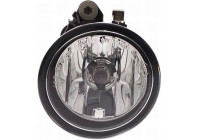 Fog Light 1N0 010 456-031 Hella