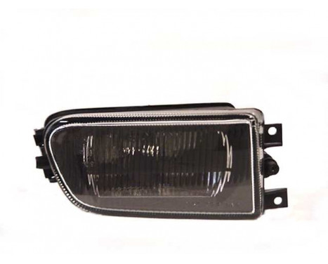 Fog light striped right 0639998 Van Wezel, Image 2