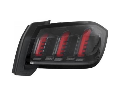 Tail light 4228090 Diederichs