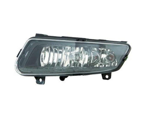 Fog lamp 2206488 Diederichs