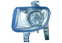 Fog lamp 3456088 Diederichs