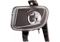 Fog lamp 3456289 Diederichs