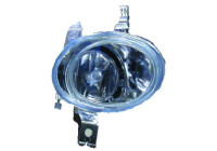 Fog lamp 4225088 Diederichs