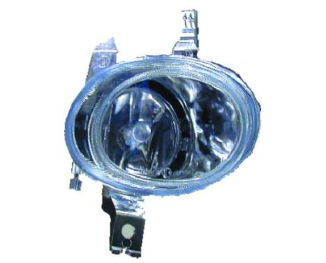 Fog lamp 4225088 Diederichs