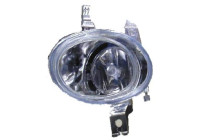 Fog lamp 4225089 Diederichs