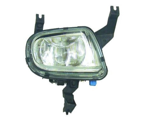 Fog lamp 4233088 Diederichs