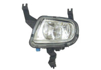 Fog lamp 4233089 Diederichs