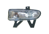 Fog lamp 4242089 Diederichs