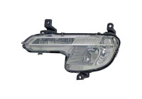 Fog lamp 4244089 Diederichs