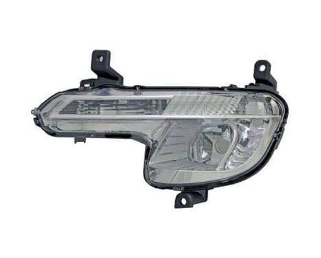 Fog lamp 4244089 Diederichs