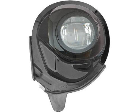 Fog lamp 5631089 Diederichs