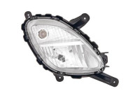 Fog lamp 6506289 Diederichs