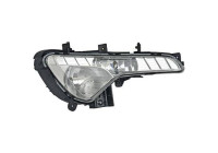 Fog lamp 6522888 Diederichs