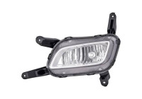 Fog lamp 6533089 Diederichs