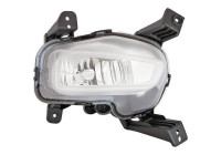 Fog lamp 6555088 Diederichs