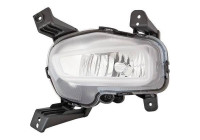 Fog lamp 6555089 Diederichs