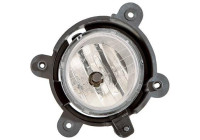 Fog lamp 6585189 Diederichs