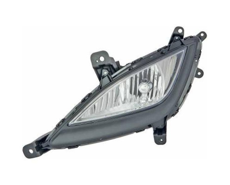 Fog lamp 6806189 Diederichs