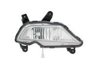 Fog lamp 6807089 Diederichs