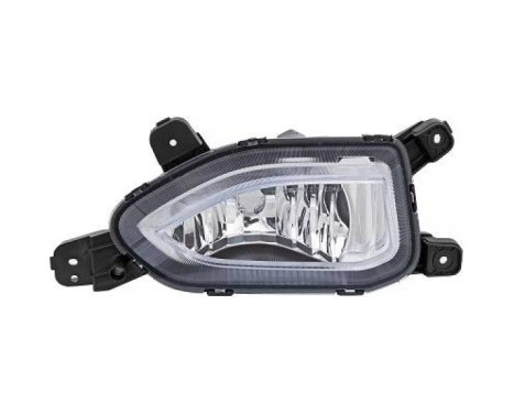 Fog lamp 6815088 Diederichs