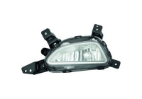 Fog lamp 6862088 Diederichs