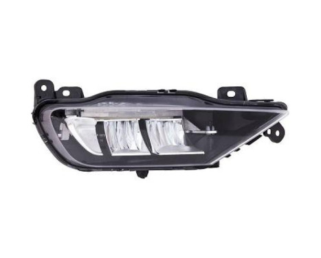 Fog lamp 7677088 Diederichs