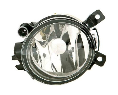 Fog lamp 7806188 Diederichs