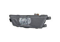 Fog lamp 7832089 Diederichs