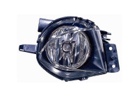 Fog Light 0657996 Van Wezel