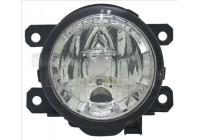 Fog Light 19-12317-01-9 TYC