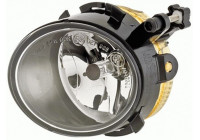 Fog Light 1N0 009 955-041 Hella