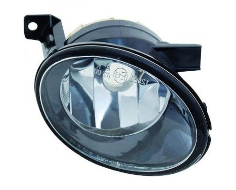 Fog Light 2215089 Diederichs