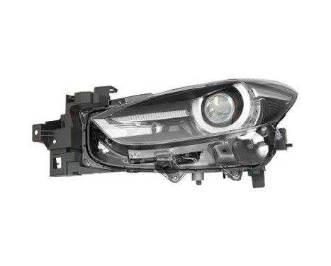 Headlight 5620183 Diederichs