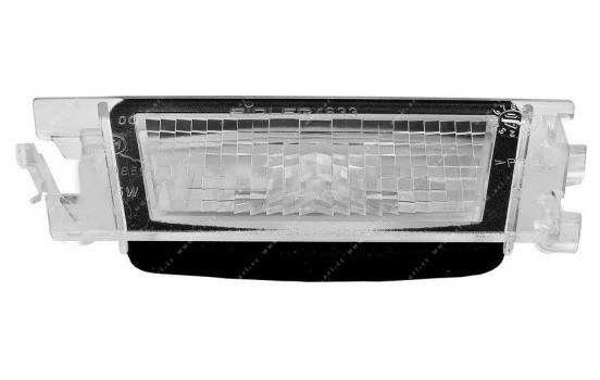 License plate light 3326678091006 Origineel