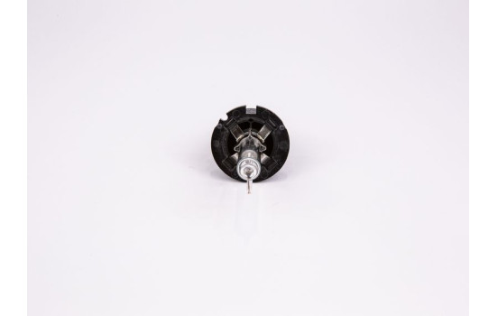 Bosch Xenon Gigalight, D2S, Image 3
