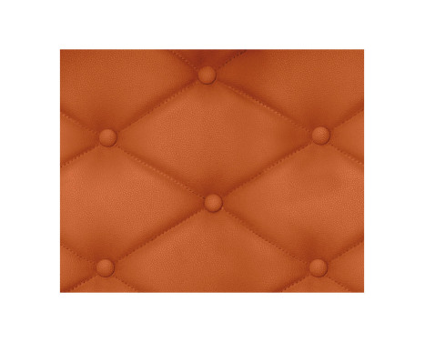 Foliatec Seat & Leather Color Spray - mat cognac, Afbeelding 4