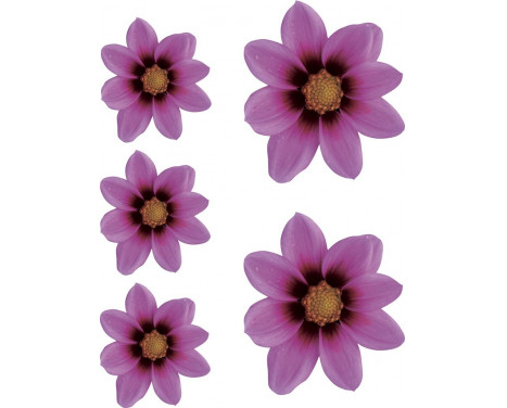Sticker Flower Garden - roze - 2x 16x15cm + 3x 8,5x8cm Sticker Flower Garden - roze - 2x 16x15cm + 3x 8,5x8cm