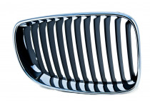 GRILLE R. SIERROOSTER