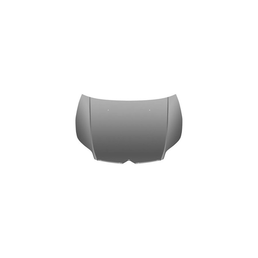 MOTORKAP 0970660 Van Wezel voor o.a. CITROEN | Winparts.nl - Motorkap