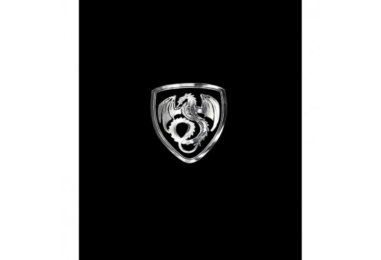 Nikkel Sticker 'Dragon in a shield' - 50x45mm
