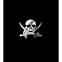 Nikkel Sticker 'Pirate Skull' - 66x55mm