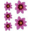 Sticker Flower Garden - roze - 2x 16x15cm + 3x 8,5x8cm, voorbeeld 2