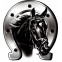 Sticker Horse + Horseshoe - 6x7cm, voorbeeld 2