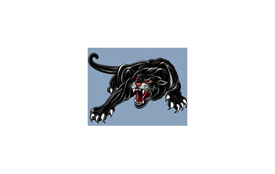 Autocollant Panther - noir - 18x12cm, Image 2